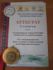 Дорпер. Чистокровные бараны и ярки.