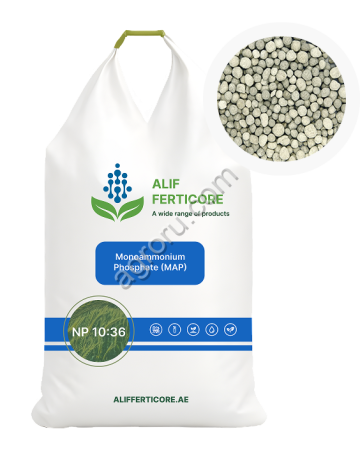 Аммофос NP 10:36