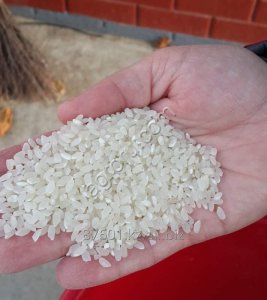 Рис дроблёный