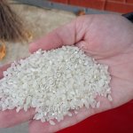 Рис дроблёный