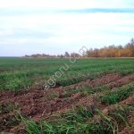земельные участки в Волгоградской области общей площадью - 1500 га паш
