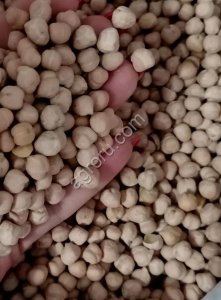 Нут продовольственный 500тн