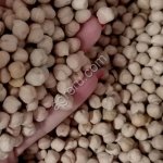 Нут продовольственный 500тн