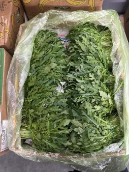 Зелень оптом