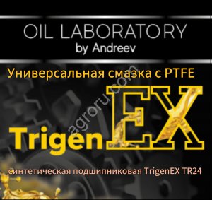 Универсальная смазка с PTFE синтетическая подшипниковая TrigenEX TR24