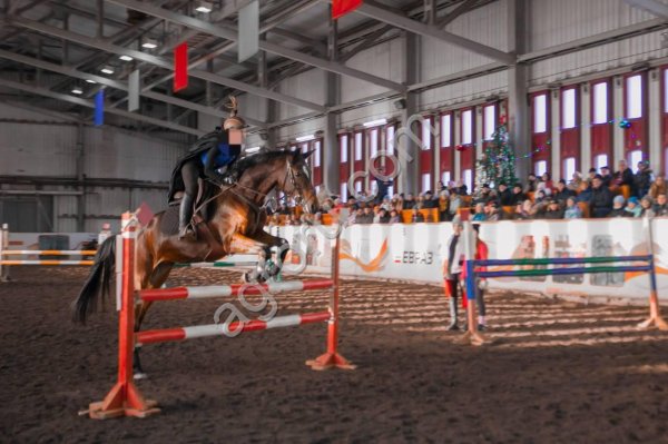 Кобыла в конкур