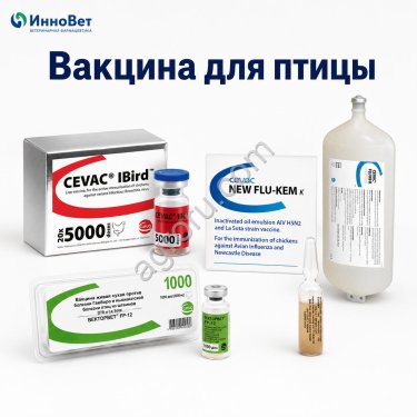 Вакцины для сельскохозяйственной птицы