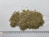 Фенхеля плоды