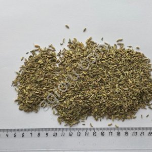 Фенхеля плоды