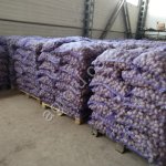 Картофель сетевого качества