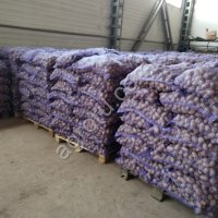 Картофель сетевого качества