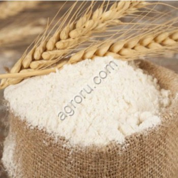 Пшеничный глютен (клейковина)