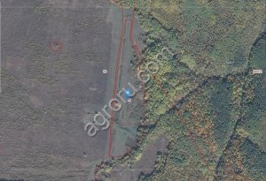 Прудовое рыбное хозяйство