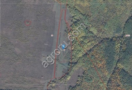 Прудовое рыбное хозяйство