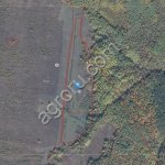 Прудовое рыбное хозяйство