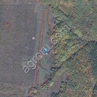 Прудовое рыбное хозяйство