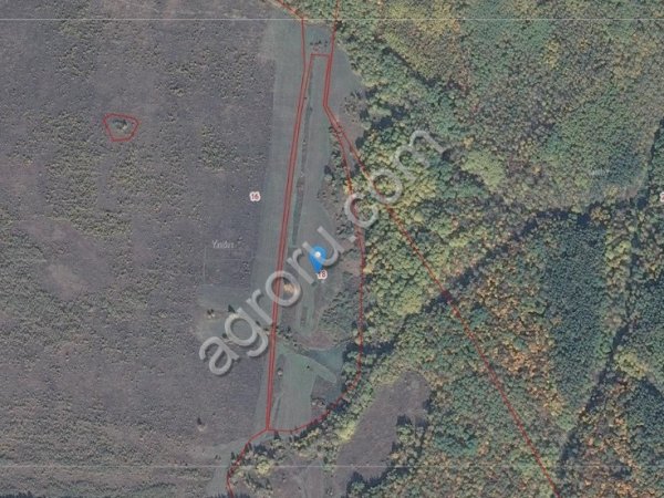 Прудовое рыбное хозяйство