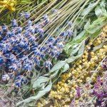 Ассорти трав