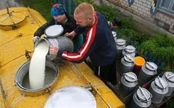 В России ожидается снижение цен на молочные продукты благодаря экспортным поставкам из Белоруссии