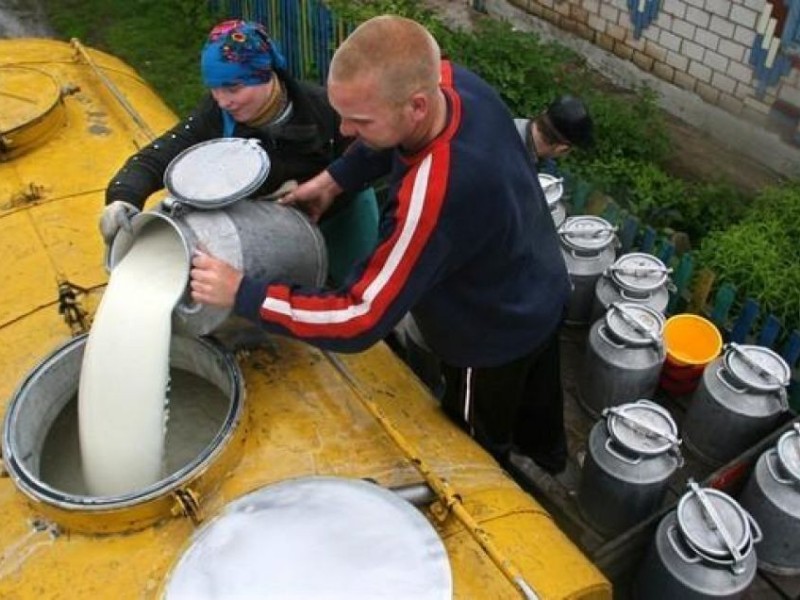 В России ожидается снижение цен на молочные продукты благодаря экспортным поставкам из Белоруссии