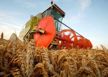 Краткий обзор рынка зерна