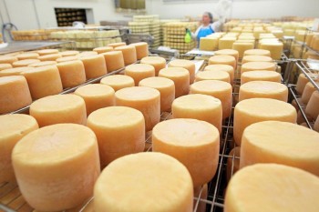 Новый способ изготовления сыра, -Краткий обзор рынка молока