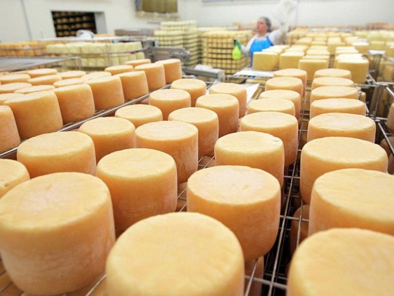 Новый способ изготовления сыра, -Краткий обзор рынка молока