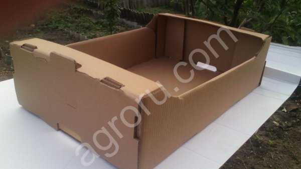 Лотки, ящики из гофрокартона