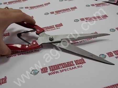 Ножницы для стрижки овец дагестан