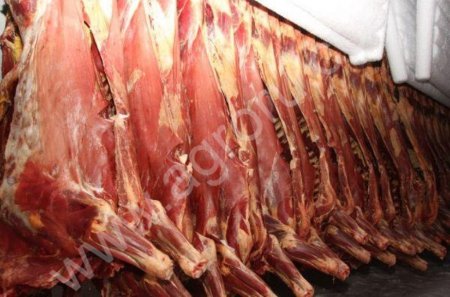 Говядина. Корова,Бык,Блочка(односорт)