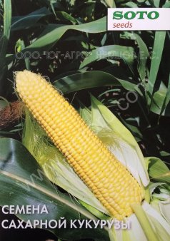 Семена сладкой кукурузы Триполи F1 «SOTO SEEDS», Switzerland