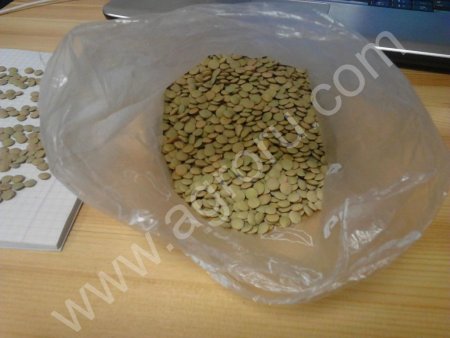 Семена чечевицы для посева итальянская зеленая и красная