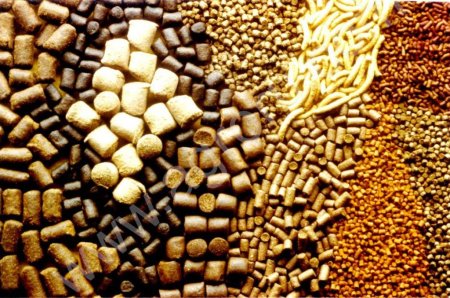 Комбикорм для ЦЫПЛЯТ И КУР от производителя