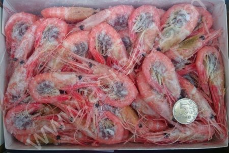 креветку оптом.