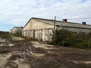 Производственная площадка, 6100 м²