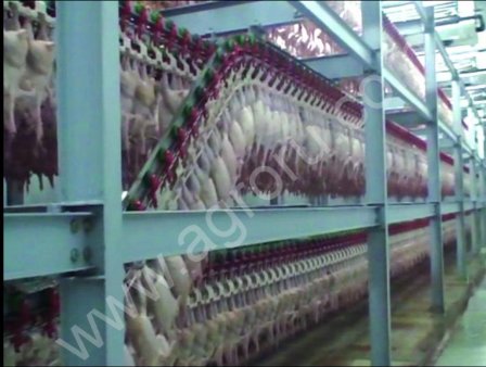 Линия воздушно-капельного охлаждения мяса птицы