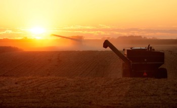 Приморье собирает урожай
