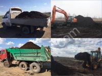 Торф, Навоз, Биогумус, Земля, Чернозём, Перегной