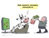 Как увеличить производство говядины