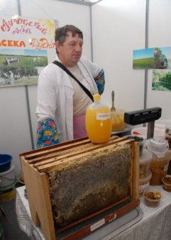 Жителям Алтайского края будут раздавать в аренду улья с казахстанскими пчелами