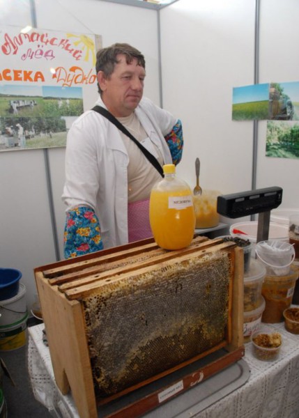 Жителям Алтайского края будут раздавать в аренду улья с казахстанскими пчелами