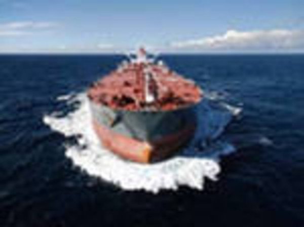 Экспорт зерна из РФ в этом году достиг 17 млн тонн