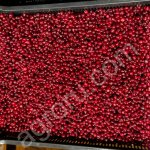 Клюква ручной переборки, охлажденная