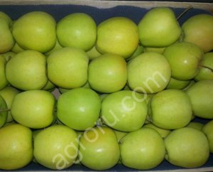 Яблоки Голден Делишес