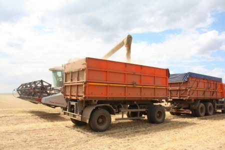 Как у колхозников отбирают и воруют урожай на 120 млн. руб