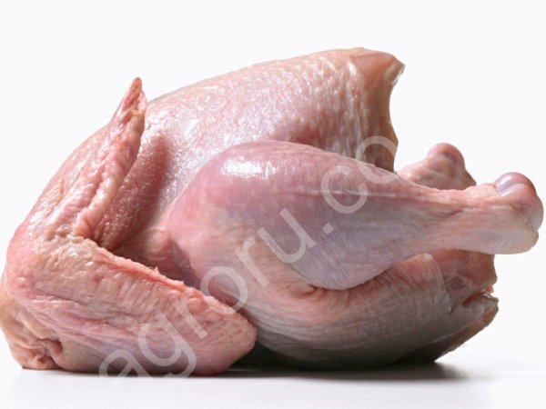 Курица, субпродукты