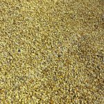 продукцию пчеловодства