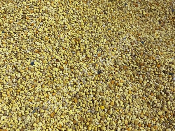 продукцию пчеловодства