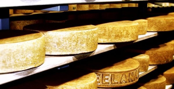 Молочные итоги на февраль 2011