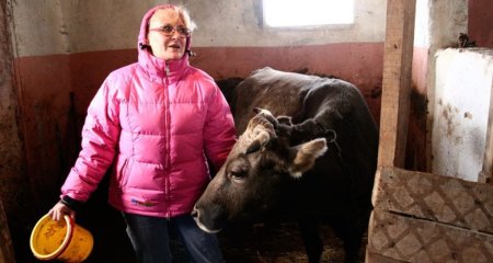 Низкие цены и бездействие властей